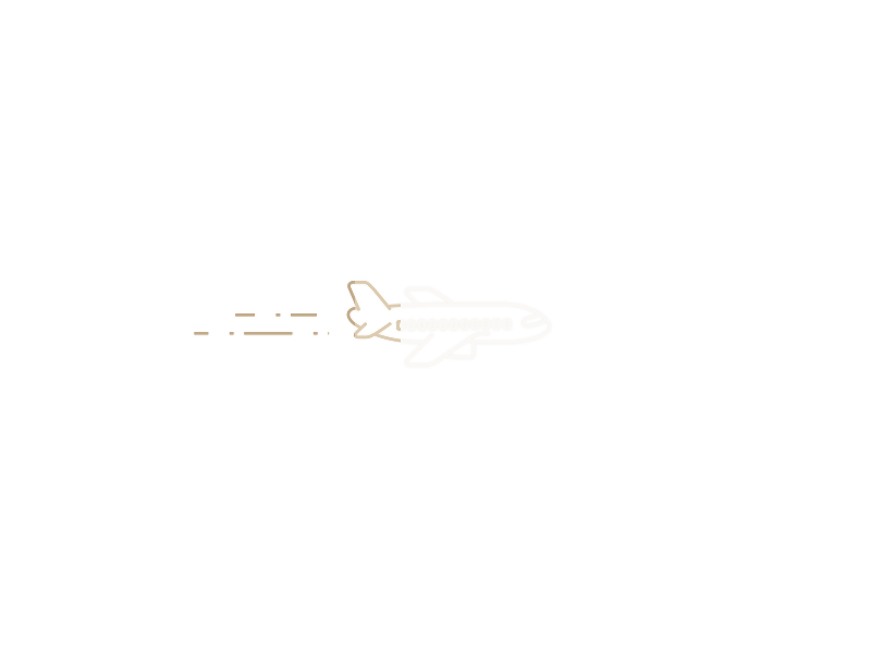 Private aviation loading animation